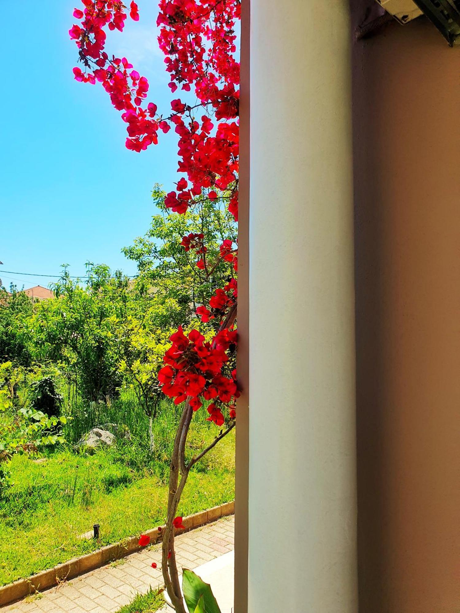 Green Studio Nidri Nydri (Lefkada) Exterior foto