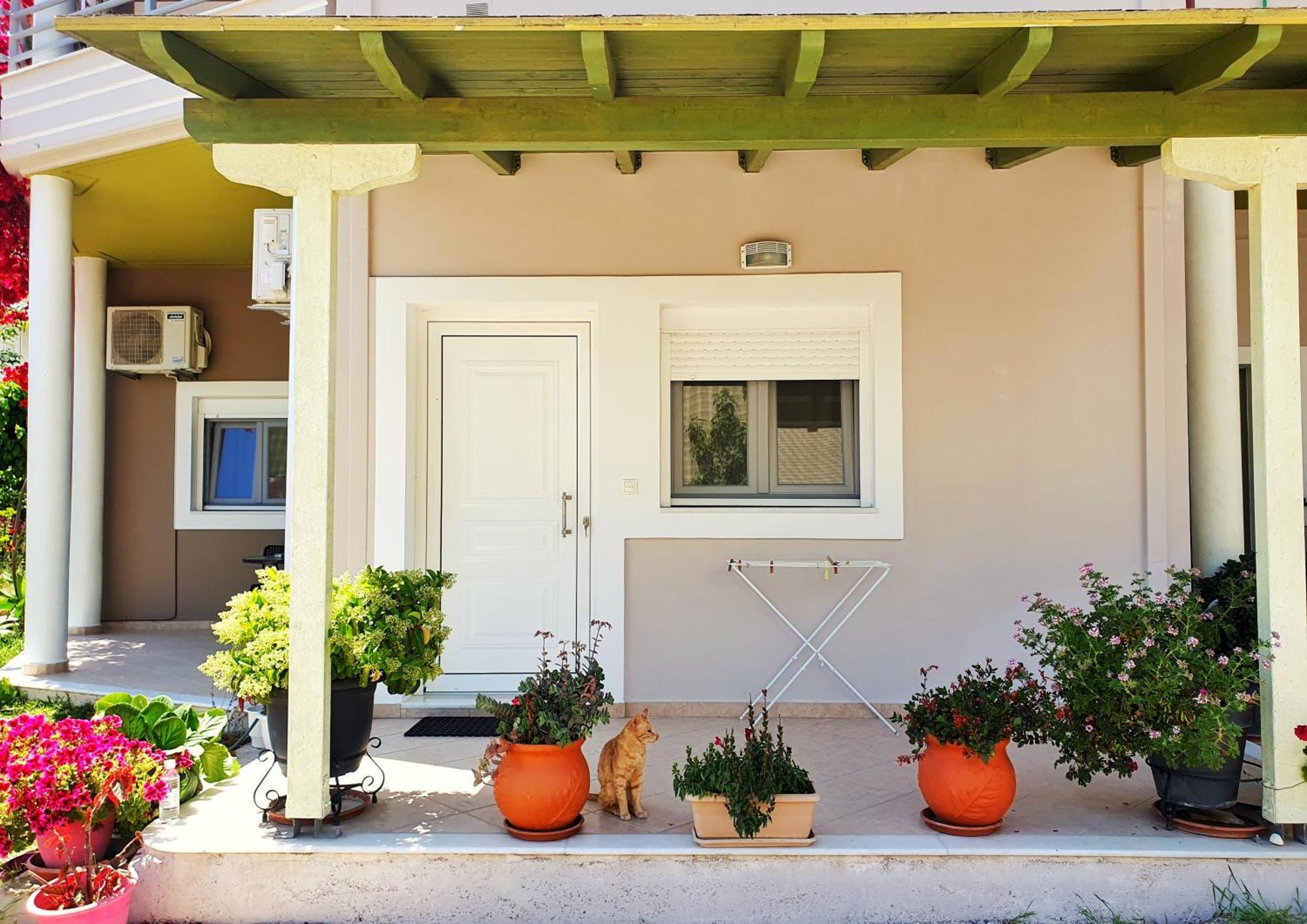 Green Studio Nidri Nydri (Lefkada) Exterior foto
